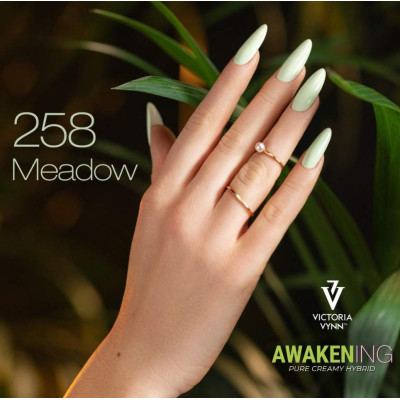 Victoria Vynn - Pure Creamy - 258 Meadow - Gellack Victoria Vynn - Pure Creamy - 258 Meadow - Gellack